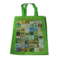 衢州LB11覆膜无纺布广告袋